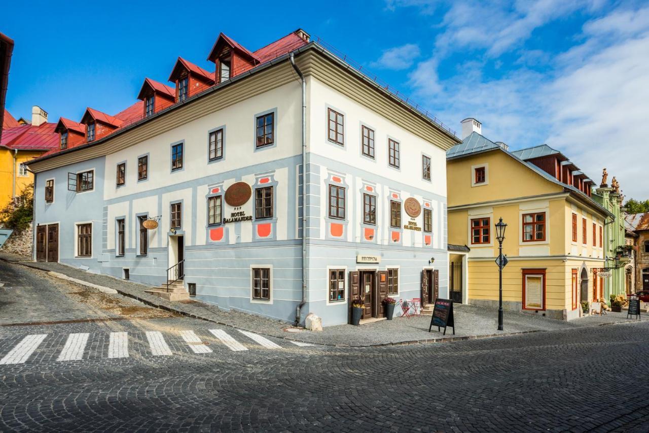 Salamander Hotel บันสกา ชีอาว์นีซา ภายนอก รูปภาพ